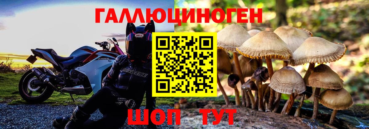 Псилоцибиновые грибы прущие грибы  Астрахань  Галлюциногенные грибы прущие грибы 